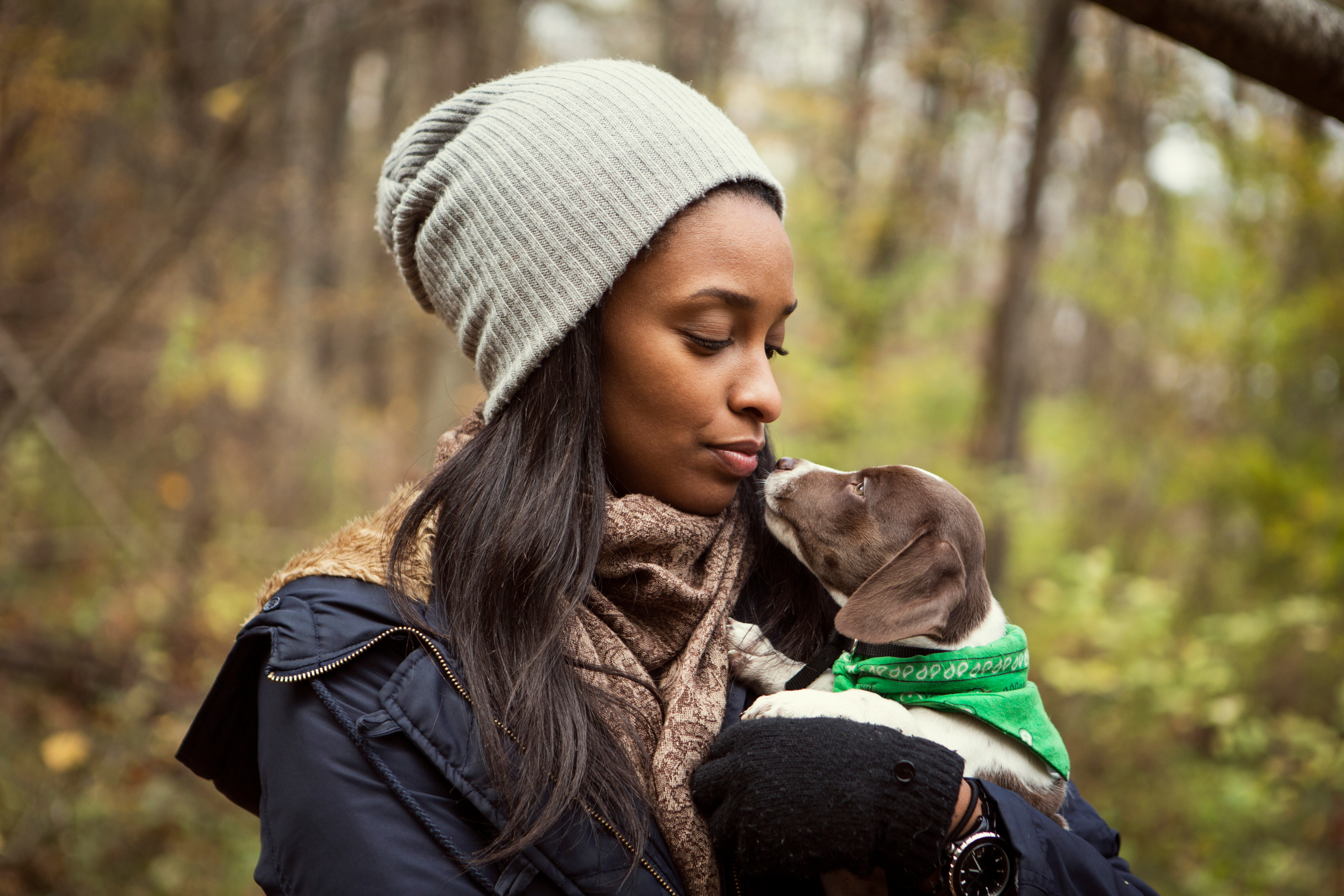 Featured image for the article: The Best Time to Train Your Dog to Stop Urinating on the Carpet Revealed!