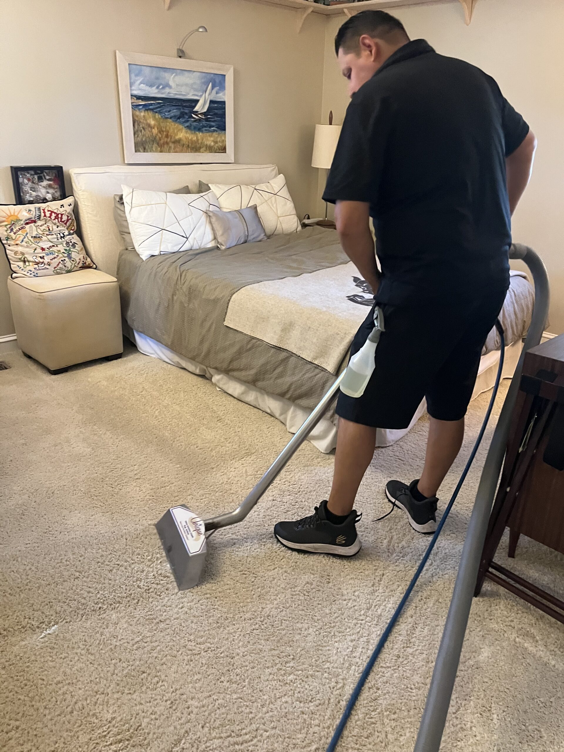 Unique Carpet Cleaning technician performing deep steam extraction on residential carpet to remove dust mites and allergens