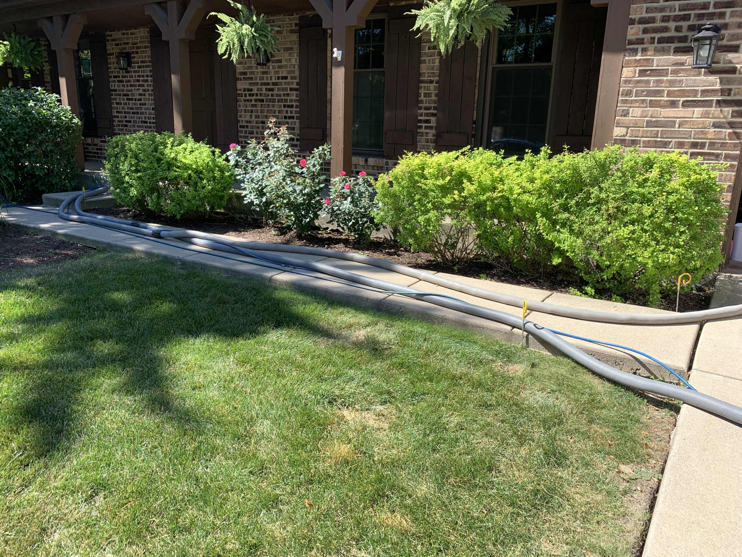 Featured image for the article: The Hidden Dust Mite Problem in Your Carpet (And What Actually Works)
