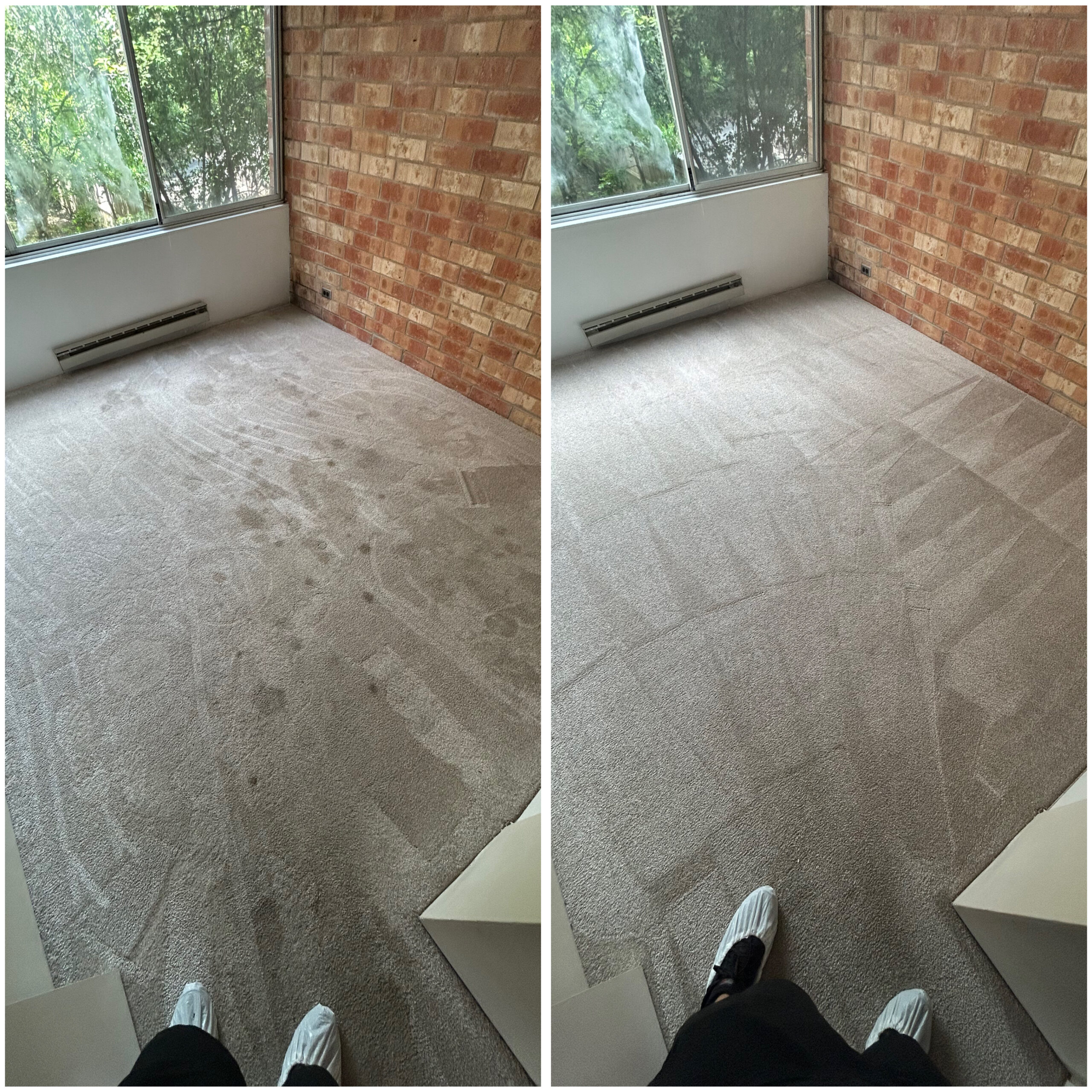 Before/After: Pet stain before and after