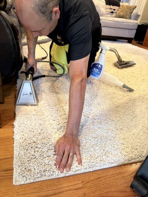 Image depicting the Service Area Rug Cleaning 